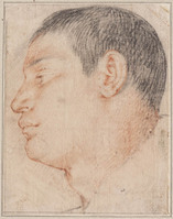 F 019
<br/>
Jongenskop, naar links
<br/>
<em>Anoniem It, Rome (16de eeuw)</em>